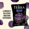 Terra Vegetable Chips, Blues Chips with Sea Salt, 1 Oz