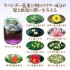 Yamada Beefield Honey Aroma Shampoo (Smooth Lavender), 6.8 fl oz