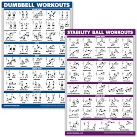 Palace Learning Dumbbell Workouts and Exercise Ball Poster Set - Laminated 2 Chart Set - Dumbbell Exercise Routine & Stability/Yoga Ball Workouts (18" x 24")