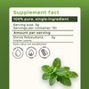 bixa Botanical Stevia Leaf Powder (Stevia Rebaudiana) Natural Herbal Supplement
