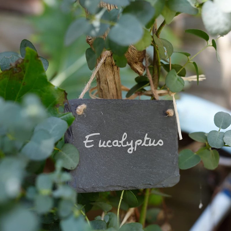 The cordeline Set of 3 Slate Labels 0.5 x 7