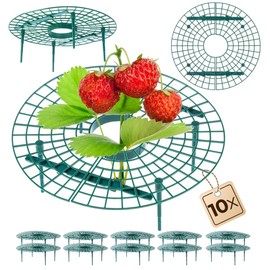 KADAX Erdbeerstützen 30cm, 10 Stück, Schutz für Erdbeeren, Erdbeerreifer aus Kunststoff, Erdbeerschutz, Schneckenschutz für Erdbeerpflanzen, Erdbeergitter