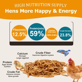 10LB Dried Mealworms for Birds Treats Bulk - Non GMO Meal Worms Dried for Chickens, Wild Birds, Turkeys, Reptile Food - High Protein Grub Worms for Chickens for Laying Hens, 100% Natural Chicken Worms