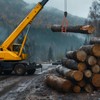 Tolpassa Log Lifting Tongs 36 Inch - 3300LBS Load Capacity