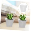 TEHAUX 10Pcs Plastic Basin Pot Green Succulent Plants with Vanilla