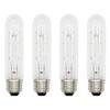 Creative Hobbies® 3090 (Pack of 4) 40T10/CL - 40 Watt