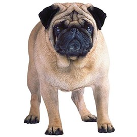 Paper House Productions 3.25" x 2.25" Die-Cut Pug Dog Shaped Magnet for Refrigerators and Lockers