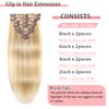 Clip in Hair Extensions Real Human Hair Clip in Extensions