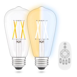 AIELIT Vintage Remote Control LED Edison Light Bulbs- E26 Standard Base- Dimmable 4Watt(40W Equivalent)- Adjustable Color Temperature (2700K- 5000K)- No App or Wi-Fi Required- Remote Included- 2 Pack