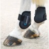 Shires Arma Fetlock Boots - Black/Plum: Cob/Full