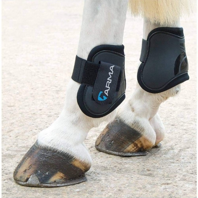 Shires Arma Fetlock Boots - Black/Plum: Cob/Full