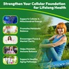 NutraPep NAD+ Liquid Supplement - Liposomal NAD+ Boost for Healthy