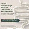 Centrum Biotic+ All-In-One Capsules Pack of 30