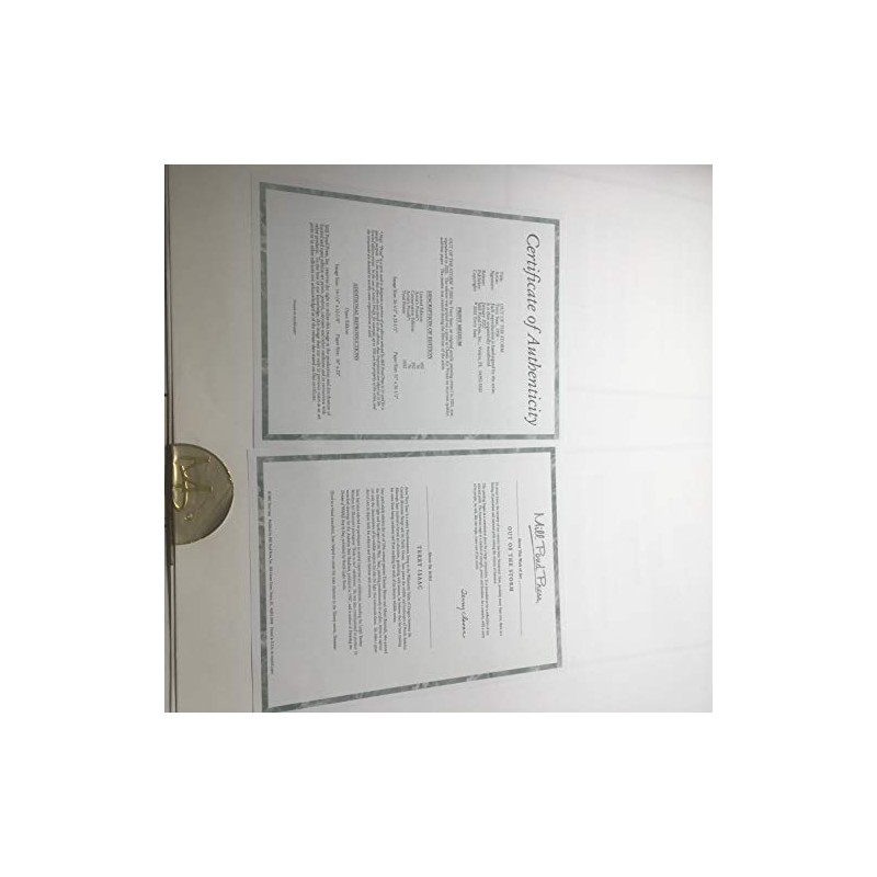 Limited Edition Print Out of The Storm-Eagle-Terry Isaac