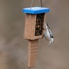 Kingsyard Recycled Plastic Suet Feeder, Tail Prop Suet Feeder for