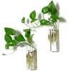 Kingbuy Plant Terrarium Container Propagation Station Square Tube Vase Wall