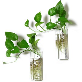 Kingbuy Plant Terrarium Container Propagation Station Square Tube Vase Wall Hanging Glass Planter Indoor Hydroponic Plants Home Office Garden Decor, 2 Pack