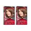 Revlon 2 Pack Revlon Colorsilk Beautiful Color Hair Dye Light