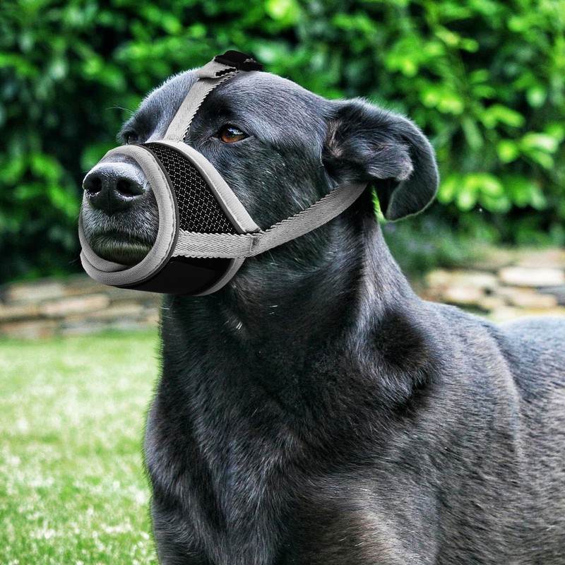 SUPVOX Dog Muzzle,Air Mesh Breathable Muzzle,Drinkable Adjustable Pet Muzzle for
