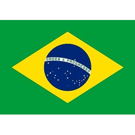 Premium Flag – 90 x 150 cm / 150 cm 90 cm – Made of Polyester with Golden Eyelets – Durable and Weatherproof (Brazil)