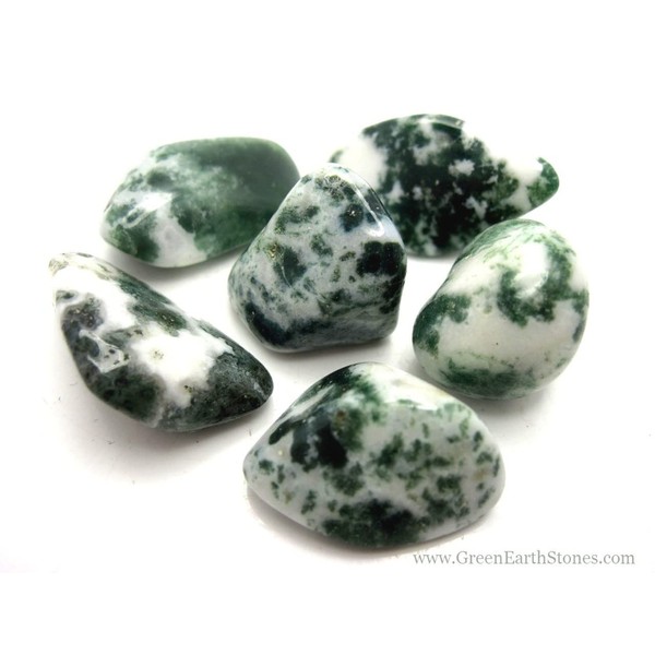 Pachamama Essentials Tree Agate Tumbled - Healing Stone - Crystal Healing 20-25mm (1)