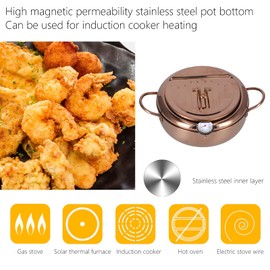Deep Fryer Pot, 3.4L 10 inch Stainless Steel Fryer with Temperature Control Japanese Tempura Fryer Pan Nonstick Coating Mini Deep Fryer for French Fries Shrimp Chicken (Rose