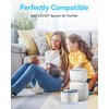 Togameoy Sprout Air Purifier Replacement Filter Compatible with LEVOIT Air