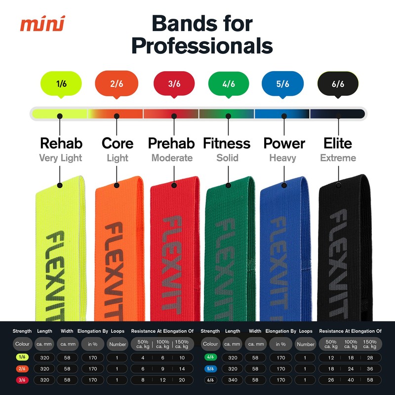 FLEXVIT Mini Resistance Band | Fitness Band & Gymnastics Band