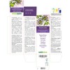 Passion Flower (Passiflora Incarnata) Herb with Flowers Alcohol-Free Mother Tincture