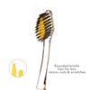 Nano-b Rainbow Pack of 12 Antibacterial Manual Toothbrushes【Gold & Bamboo