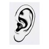 'Human Ear' Temporary Tattoo - Water Resistant, Skin-Safe, Non-Toxic Transfer