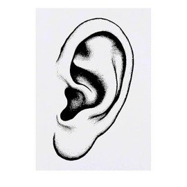 'Human Ear' Temporary Tattoo - Water Resistant, Skin-Safe, Non-Toxic Transfer (TO00080361)