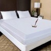 The Elysian Threads Mattress Protector Encasement Bedbug Cover Only Twin
