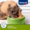 Vitakraft Slims with Alfalfa Rabbit, Guinea Pig & Small Animal