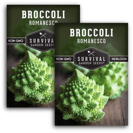 Survival Garden Seeds - Romanesco Broccoli for Planting - 2 Packs with Instructions to Plant and Grow Delicious & Beautiful Fractal Broccoli Heads Your Home Vegetable Garden - Non-GMO Heirloom Variety