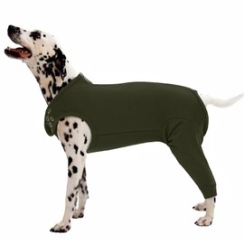 MHaustlie Dog Recovery Suit for Hind Legs, Anti Licking Dog Rear Leg Sleeves, Cone Collar Alternative(Green, 2XL)