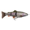 Savage Gear 4D Line Thru 25cm 193cm Moderate Sink Rainbow