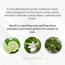 Neroli Portofino Hair + Beard Oil - Inspired Grooming Formula for Conditioning, Hydrating, Moisturising, Fresh & Healthy Soft Beard, 100% Alcohol & Vegan Free - Pure Portofino (30ml)