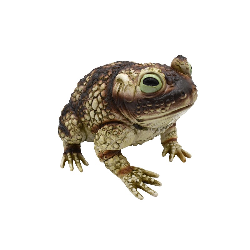 Nicky Bigs Novelties Giant Rubber Toad Prop Decoration, Multi, 25cm