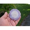 Ham8301 Amethyst slab round piece gemstone