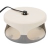 Sticky Dome Flea Capture Trap Bug Trap with 2 Glue