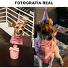 Suministros para Fiesta para Perro, Bandana de Cumpleaños para Perro,
