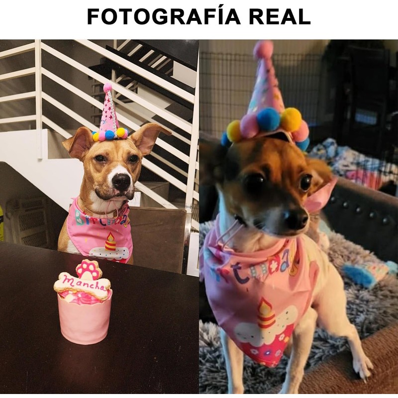 Suministros para Fiesta para Perro, Bandana de Cumpleaños para Perro,