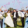 NEATICOO Silk Rose Petals 300pcs Pink Flower Petals Flower Girl