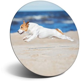Destination Vinyl ltd Magnet for Refrigerator, Fridge - Cute Jack Russell Dog Puppy Beach for Office, Cabinet and Whiteboard, Magnetic Stickers, 8813