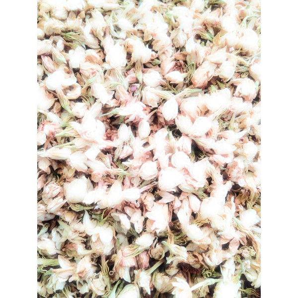 AzureGreen Jasmine Flowers, Dried Herb, 1 Oz 100% Natural No Additives