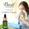 Old Tree Basil Essential Oil, 15 ml