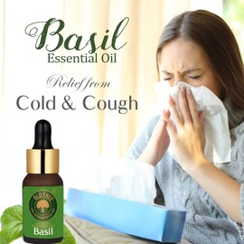Old Tree Basil Essential Oil, 15 ml