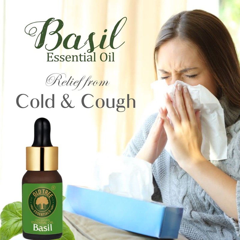 Old Tree Basil Essential Oil, 15 ml