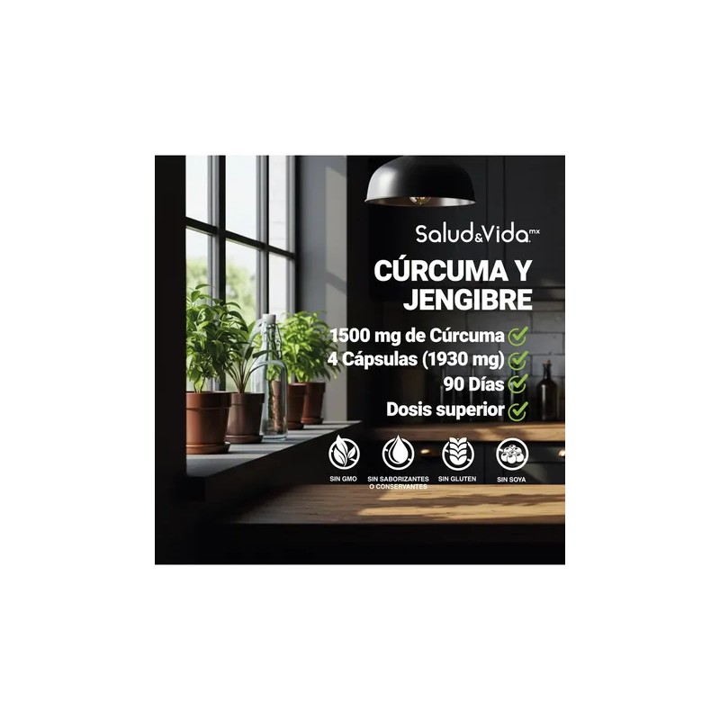 Cúrcuma con Jengibre y Pimienta Negra - 360 Cápsulas -